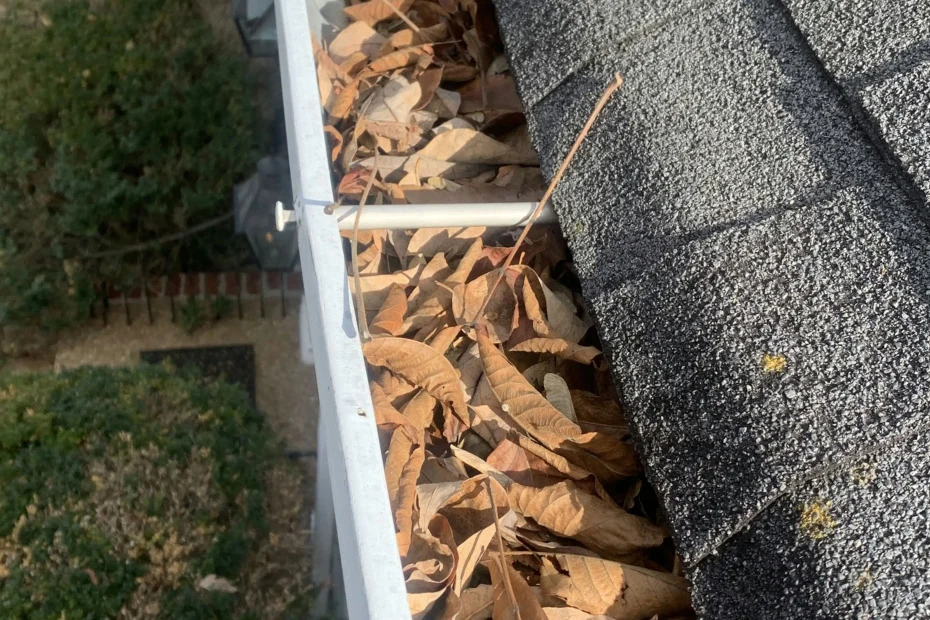 Gutter Cleaning Saltville