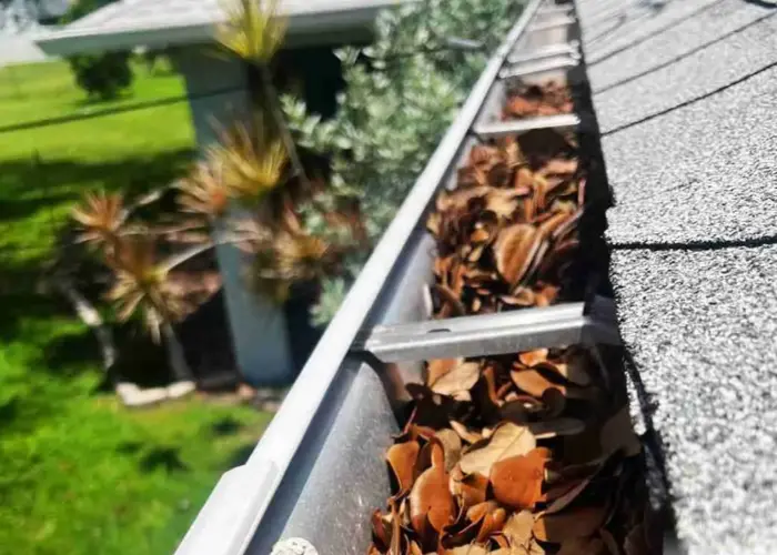 Gutter Cleaning Saltville home page